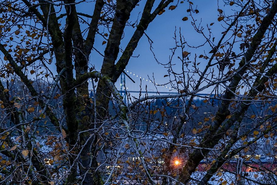 603 733 W 3rd Street North Vancouver, BC - 24