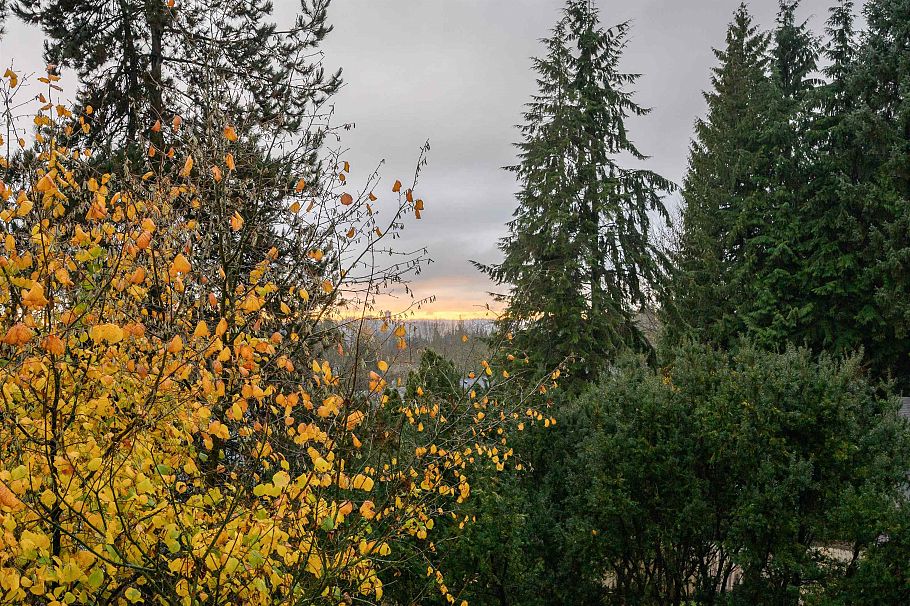 514 1000 Bowron Court North Vancouver, BC - 4