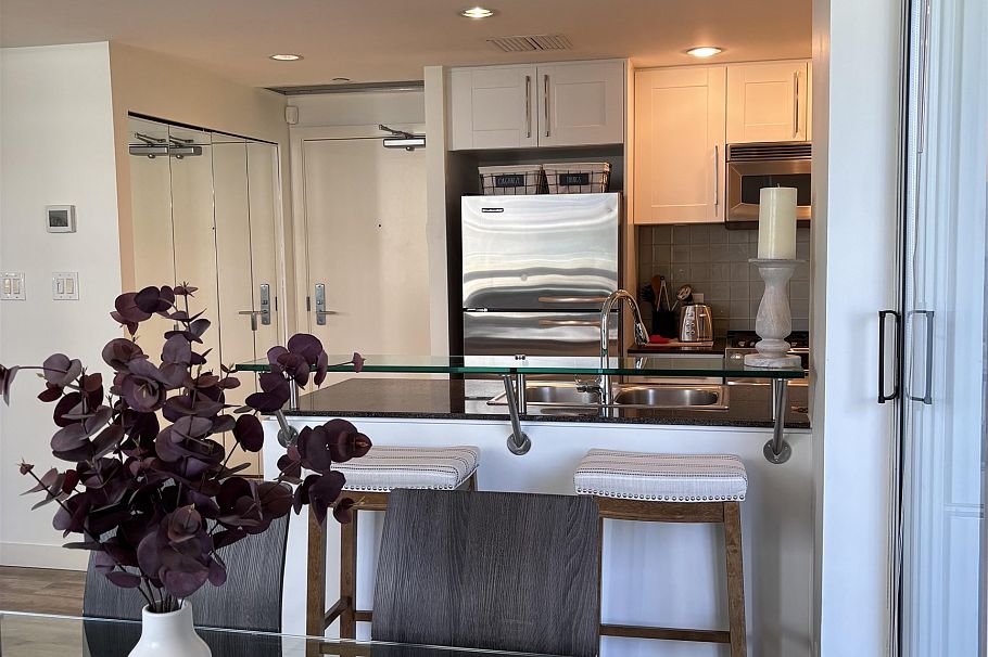 906 638 BEACH AVENUE, Vancouver BC V6Z 3A9 Vancouver, BC - 4