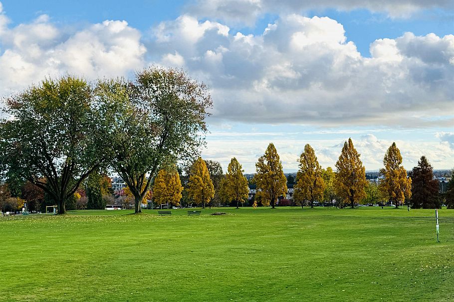 204 375 W 59th Avenue Vancouver, BC - 1