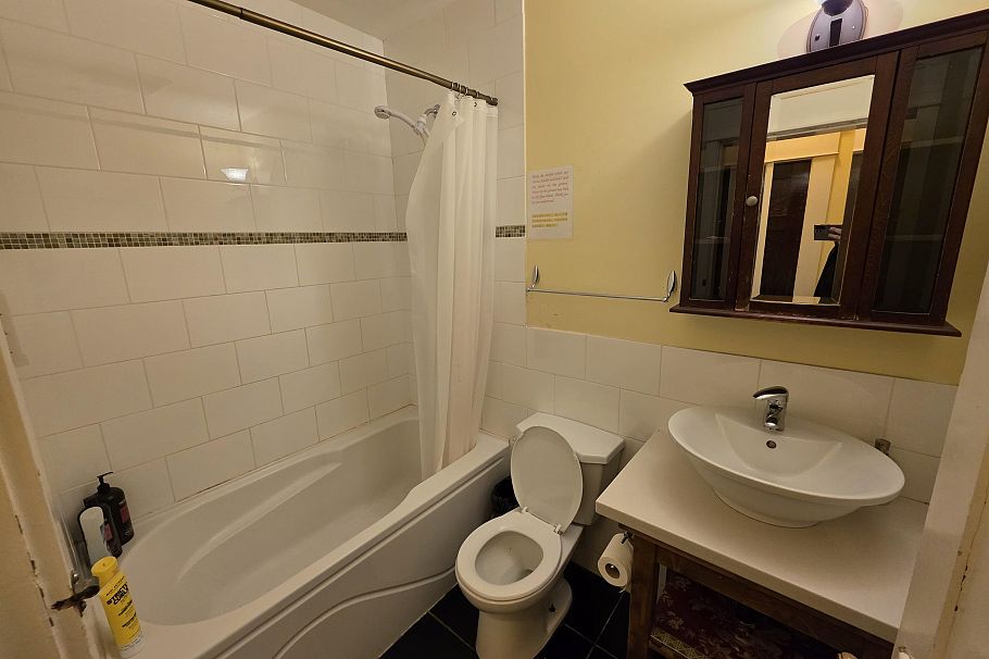 387 W 13th Avenue Vancouver, BC - 11