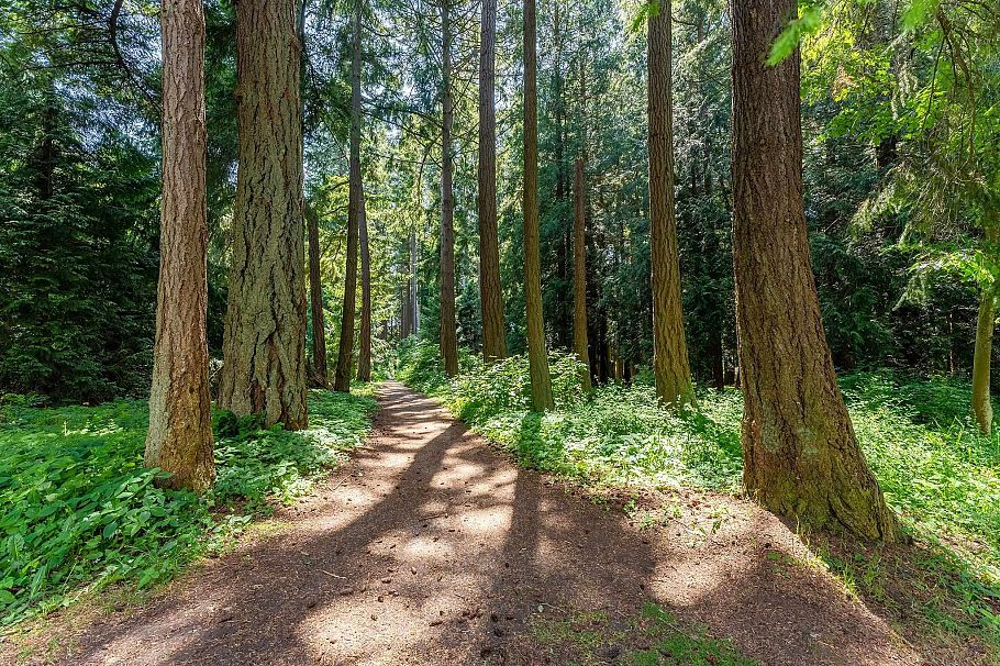 406 6328 Larkin Drive Vancouver, BC - 25