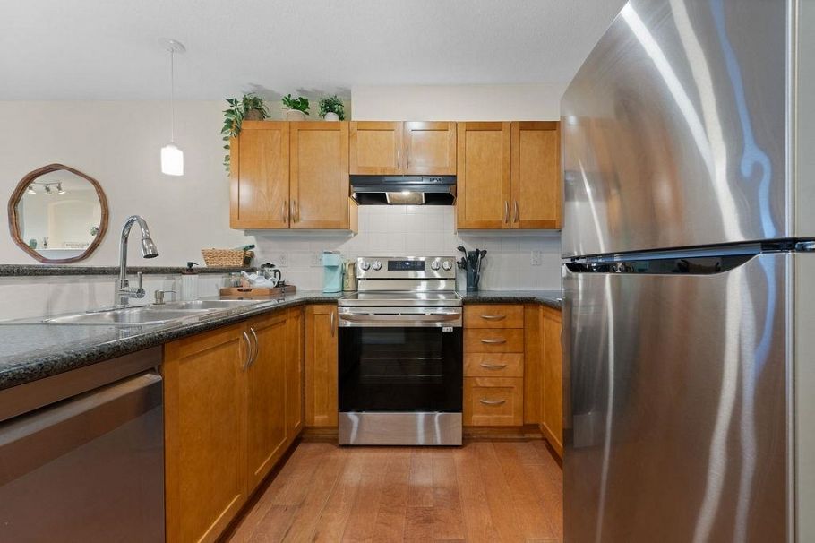 308 333 E 1st Street North Vancouver, BC - 2