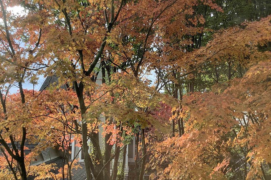 307 8495 Jellicoe Street Vancouver, BC - 17