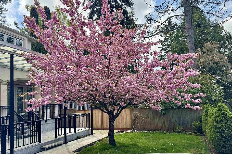 7165 Maple Street Vancouver, BC - 18