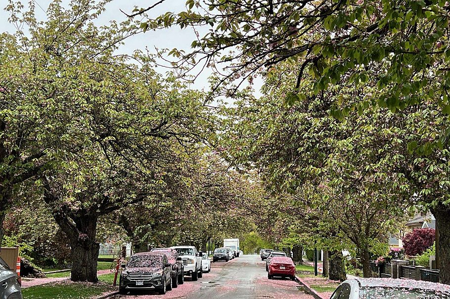 2435 E 38th Avenue Vancouver, BC - 16