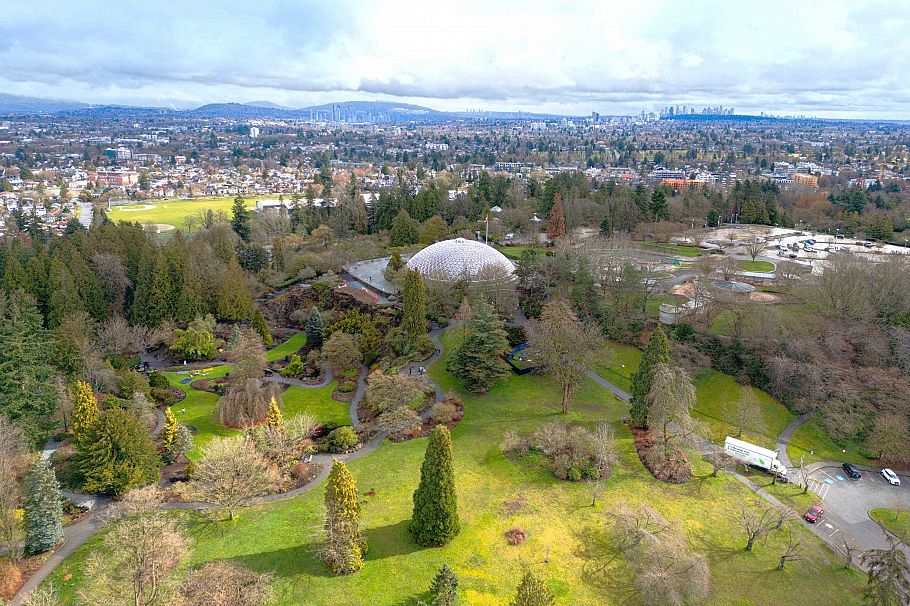 104 4932 Cambie Street Vancouver, BC - 3