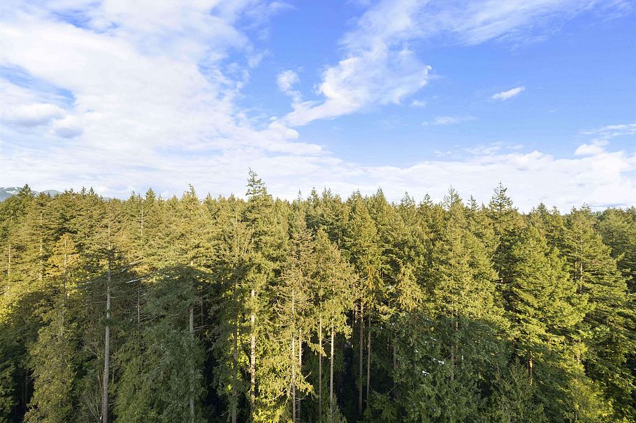 1905 5629 Birney Avenue Vancouver, BC - 21