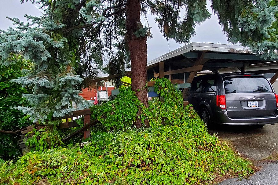 3312 Anzio Drive Vancouver, BC - 14