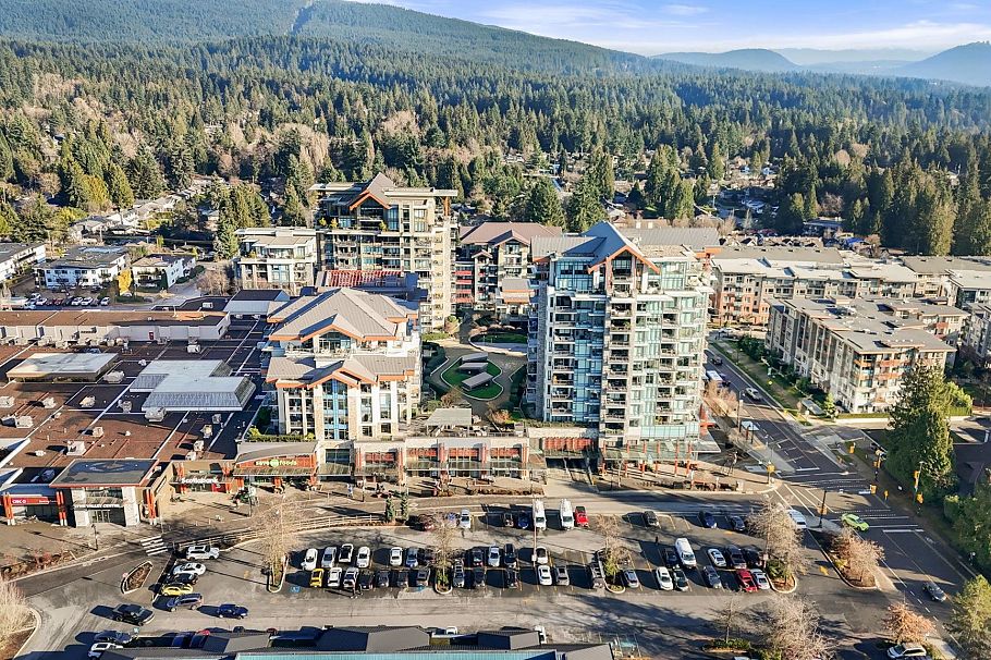 314 2663 Library Lane North Vancouver, BC - 37