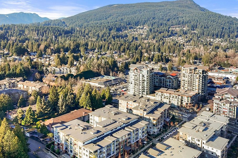 314 2663 Library Lane North Vancouver, BC - 34