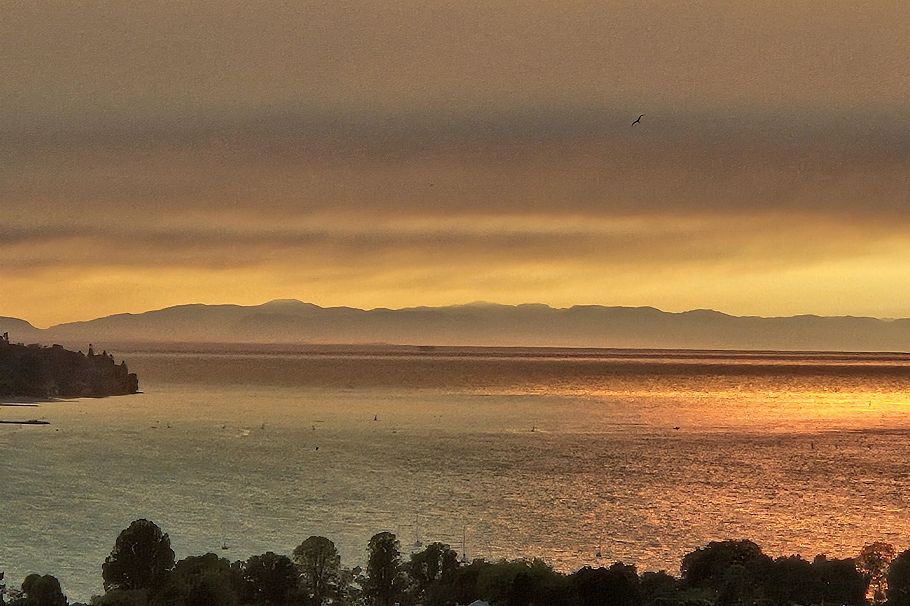 3202 501 Pacific Street Vancouver, BC - 3