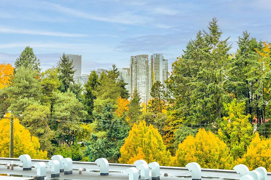 2222 Willow Street Vancouver, BC - 3