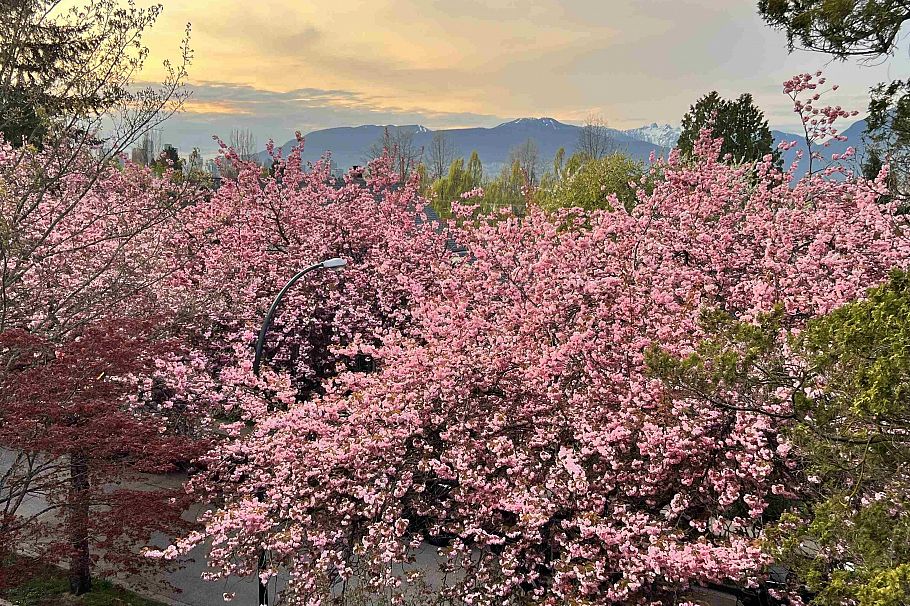 1082 E 10th Avenue Vancouver, BC - 30