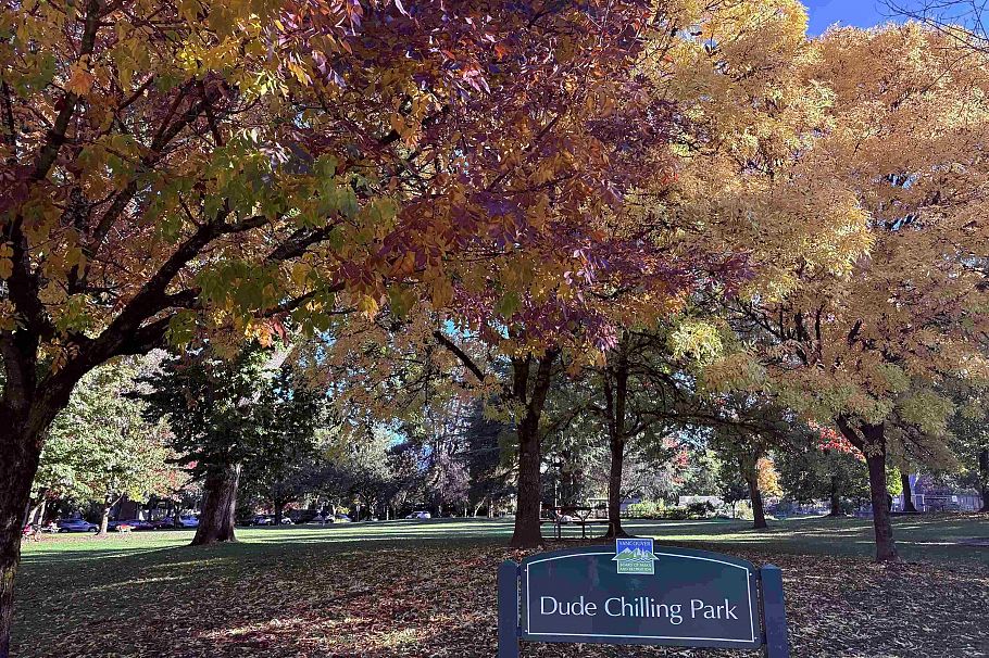 205 330 E 7th Avenue Vancouver, BC - 24