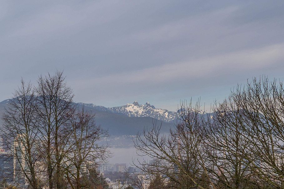 520 2471 St George Street Vancouver, BC - 39