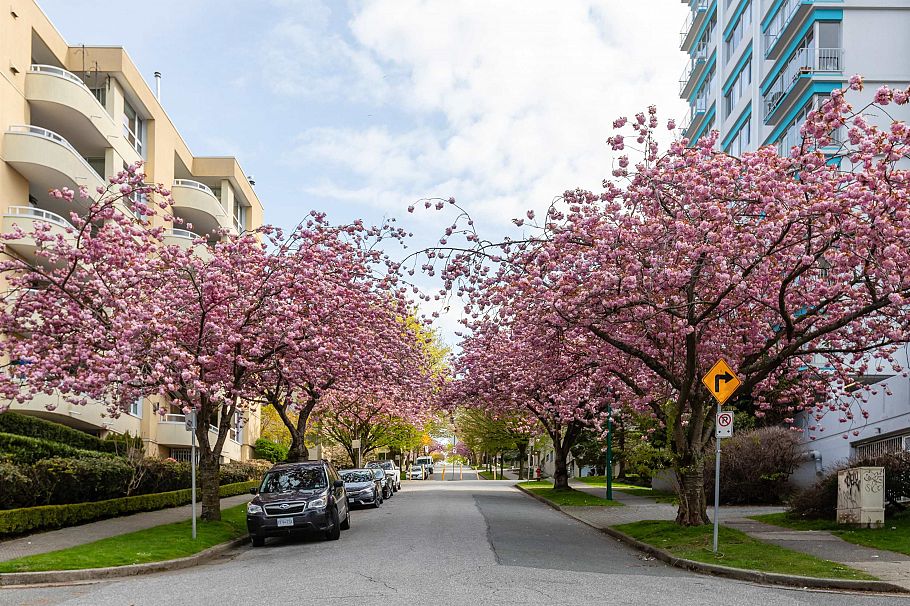401 1406 Harwood Street Vancouver, BC - 25