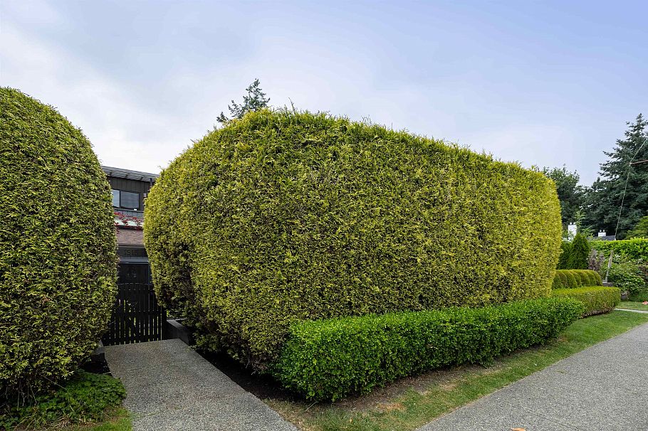 1915 Chesterfield Avenue North Vancouver, BC - 4