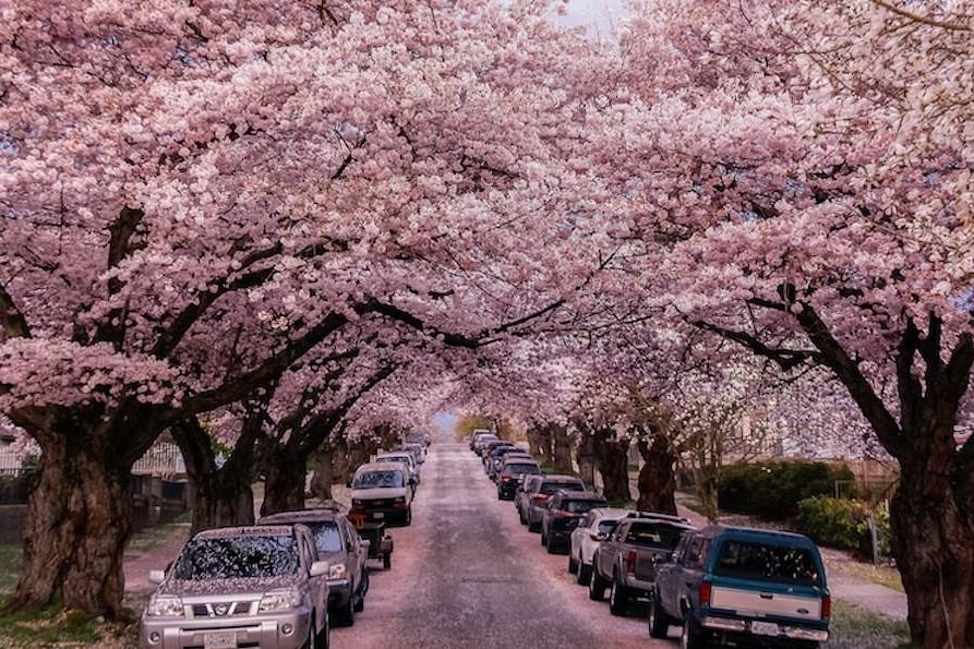 1257 E 60th Avenue Vancouver, BC - 2