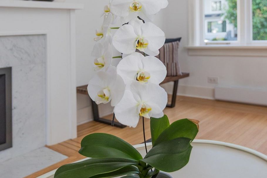 3340 W 15th Avenue Vancouver, BC - 5