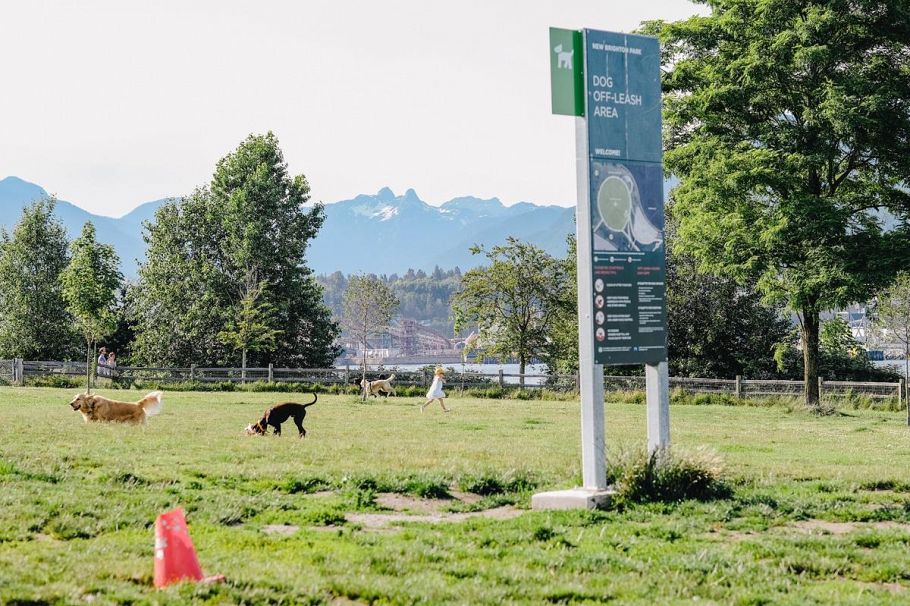 313 2636 E Hastings Street Vancouver, BC - 26