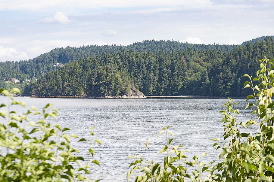 5293 Indian River Drive North Vancouver, BC - 3