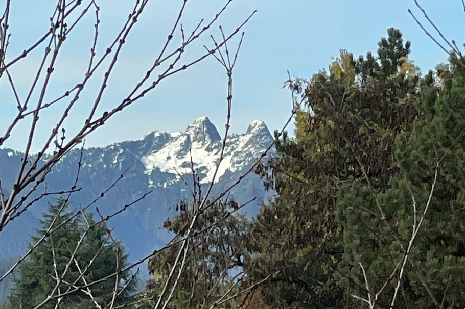 175 W 2ND AVENUE, North Vancouver BC V7M 0A5 North Vancouver, BC - 15