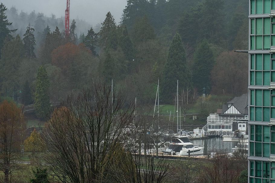 803 1723 Alberni Street Vancouver, BC - 21