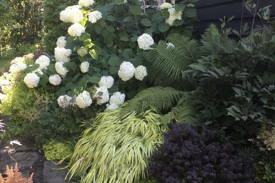 349 E 24th Street North Vancouver, BC - 35