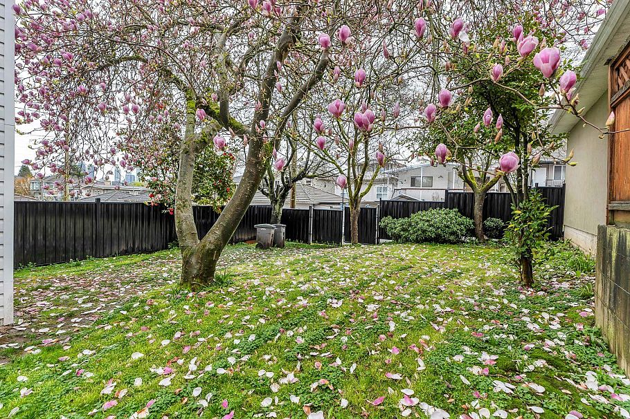 3242 Venables Street Vancouver, BC - 32