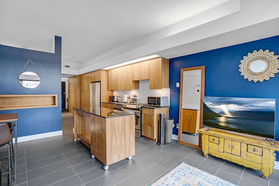 309 33 W Pender Street Vancouver, BC - 4