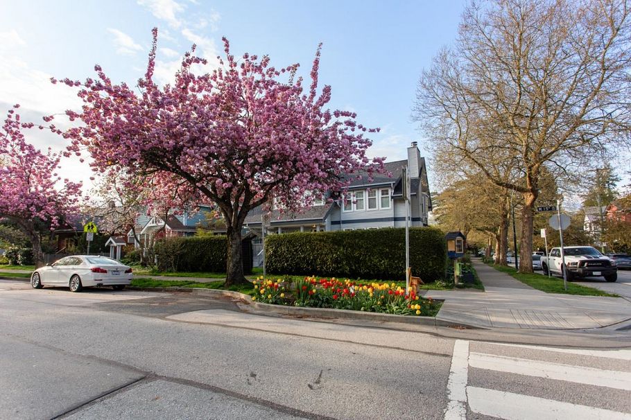 103 W 15th Avenue Vancouver, BC - 27