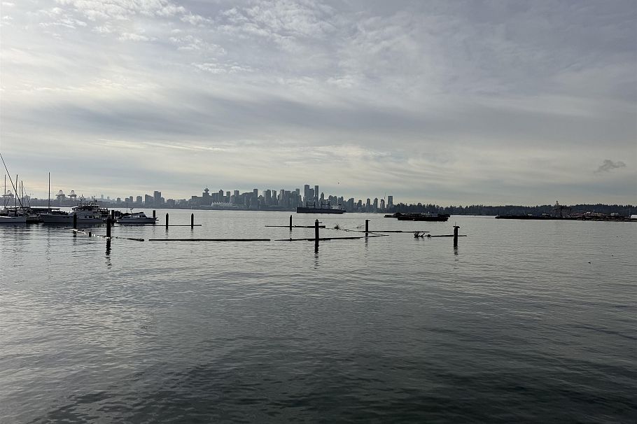 117 755 HARBOURSIDE DRIVE, North Vancouver BC V7P 0G1 North Vancouver, BC - 40