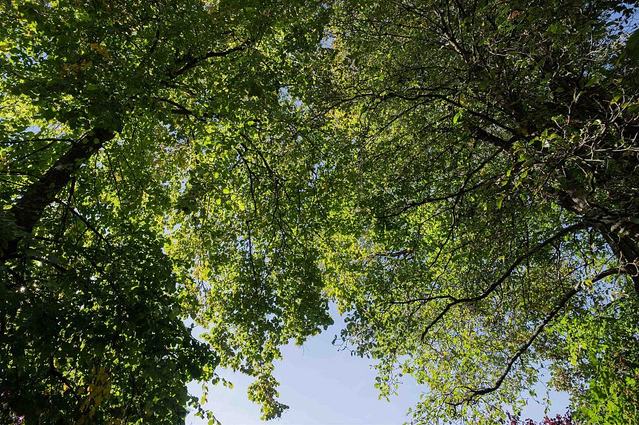 1577 W 57th Avenue Vancouver, BC - 33