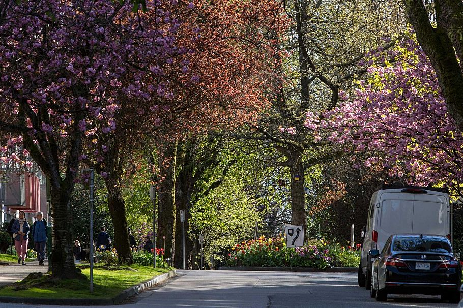 201 1535 Nelson Street Vancouver, BC - 33