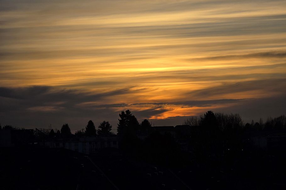 602 3660 Vanness Avenue Vancouver, BC - 29