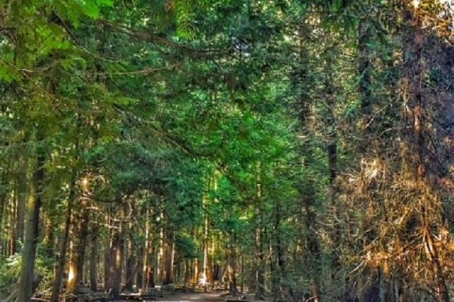 401 3611 W 18th Avenue Vancouver, BC - 26