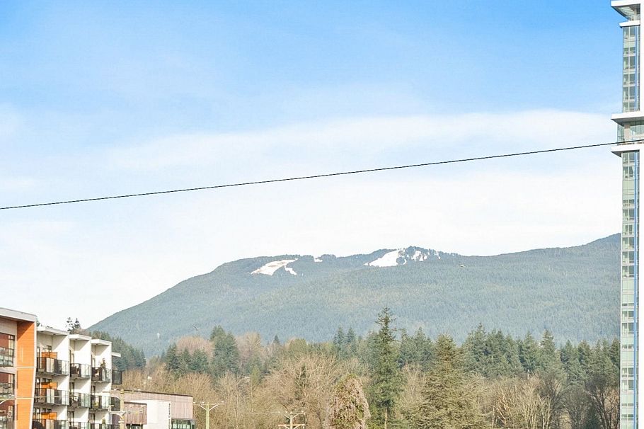 303 1519 Crown Street North Vancouver, BC - 23