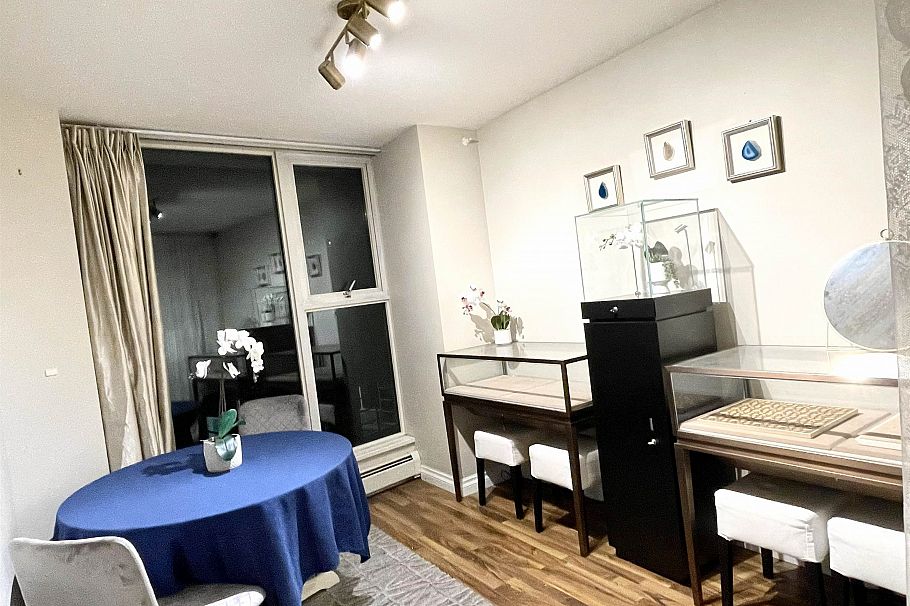 1007 1008 Cambie Street Vancouver, BC - 8