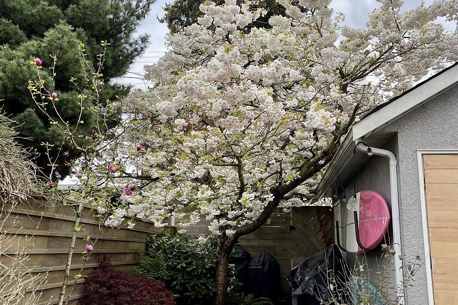 3260 W 8th Avenue Vancouver, BC - 34