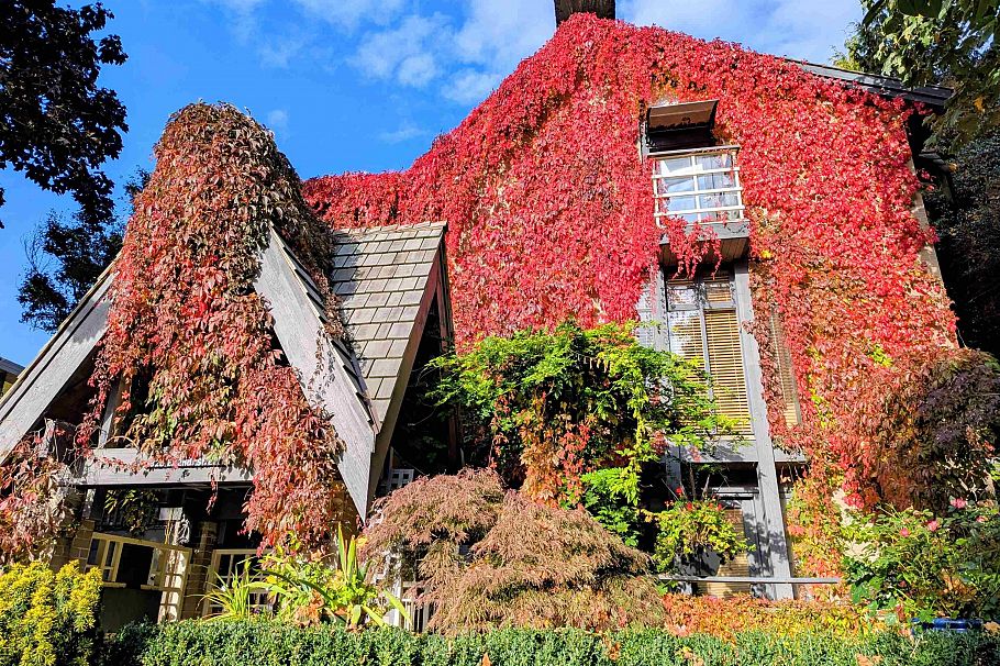 4 328 E 2nd Street North Vancouver, BC - 34