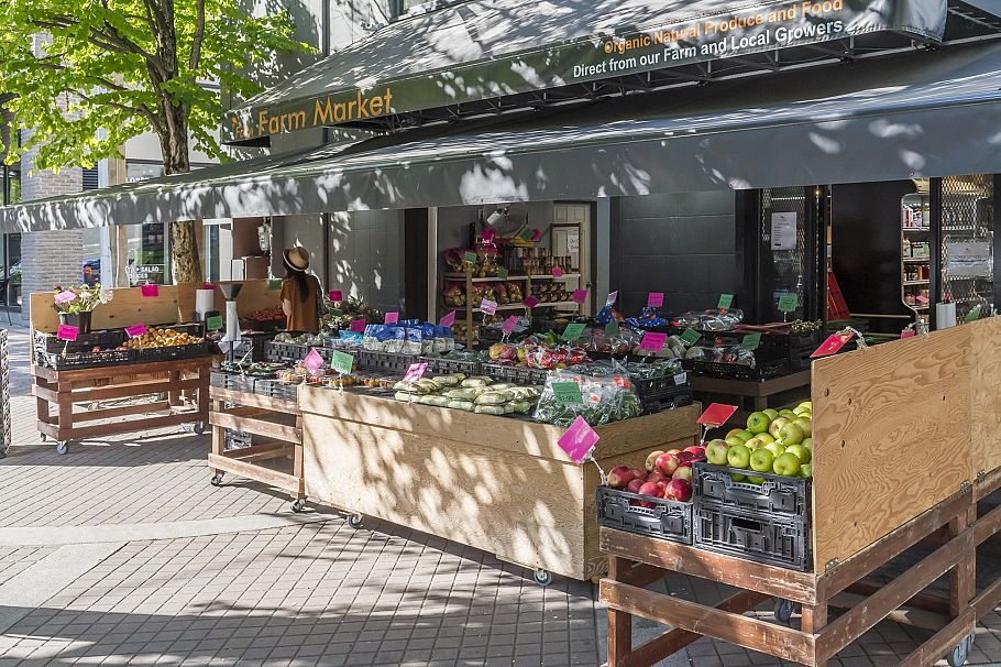 203 145 St. Georges Avenue North Vancouver, BC - 30