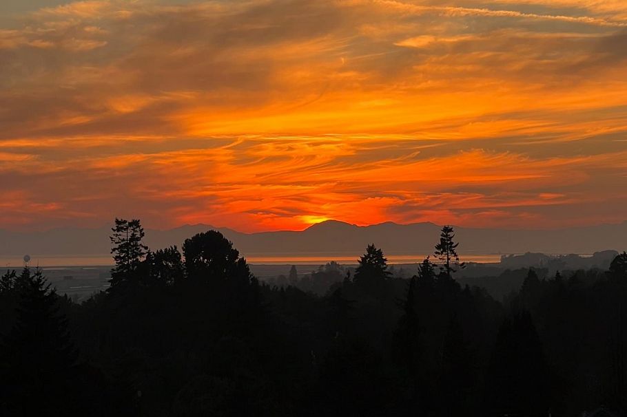 803 8555 Granville Street Vancouver, BC - 24