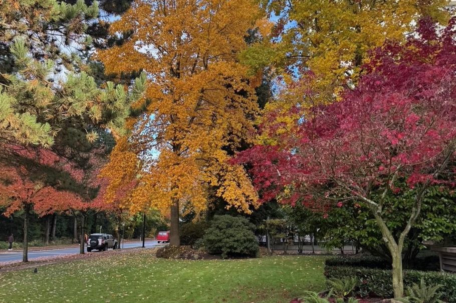 205 6188 Patterson Avenue Burnaby, BC - 28