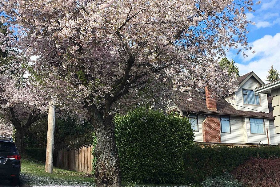 4300 SOUTHWOOD STREET, Burnaby BC V5J 2S2 Burnaby, BC - 10