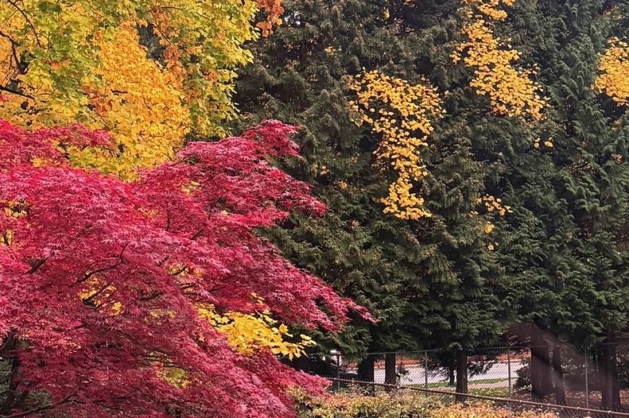 205 6188 Patterson Avenue Burnaby, BC - 27