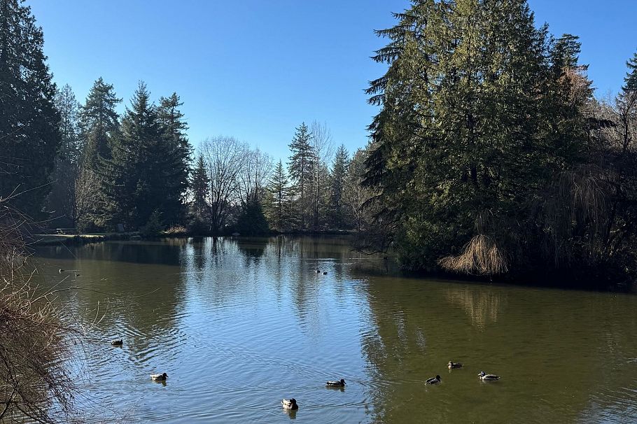 205 6188 Patterson Avenue Burnaby, BC - 26