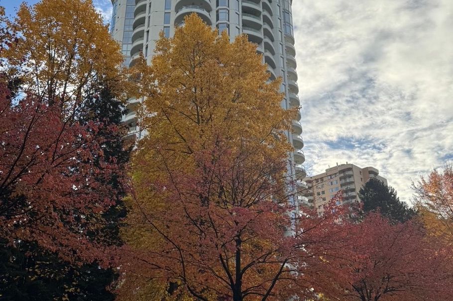 205 6188 Patterson Avenue Burnaby, BC - 29