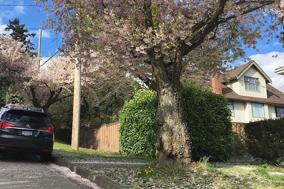 4300 SOUTHWOOD STREET, Burnaby BC V5J 2S2 Burnaby, BC - 6