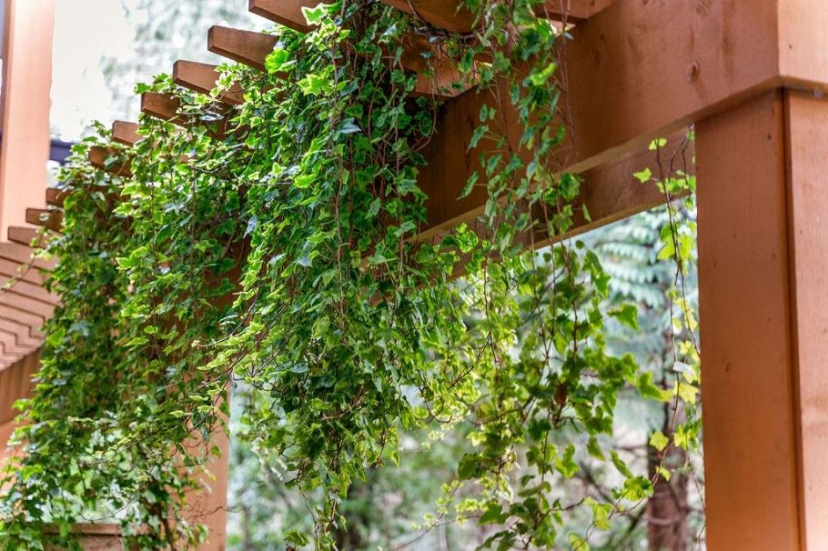 106 3125 Capilano Crescent North Vancouver, BC - 20